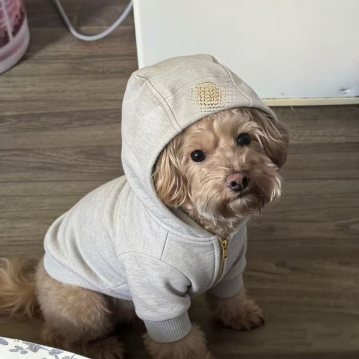 宠物狗狗春秋款衣服雪纳瑞泰迪比熊博美小型犬猫咪卫衣洋气