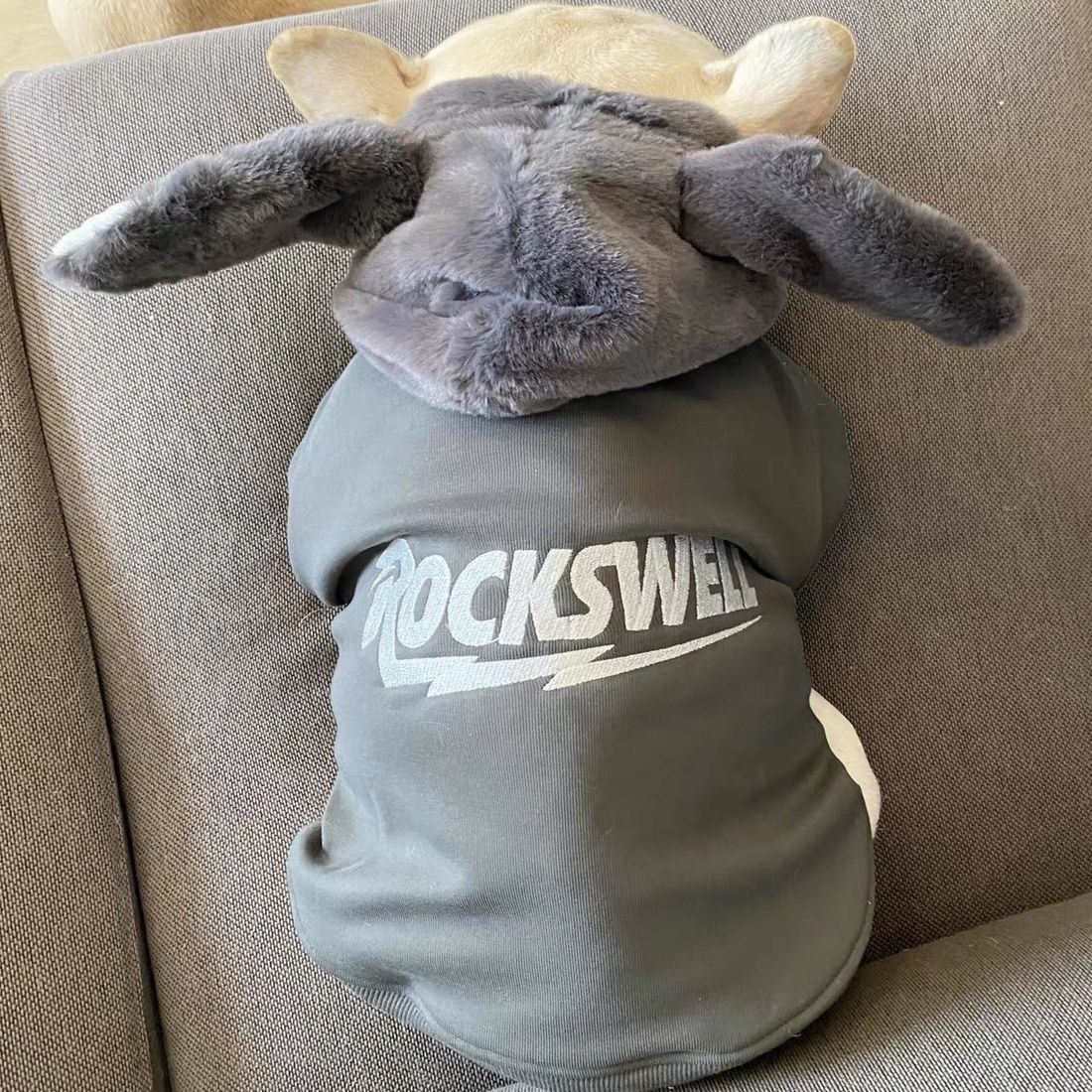 法斗衣服 巴哥卫衣 宠物狗狗加绒加厚秋冬保暖衣服兔子卫衣