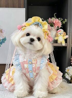春夏洛丽塔公主裙狗狗猫咪衣服宠物服饰洋气小型犬可爱公主裙衣服