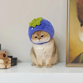 宠物熊猫帽子小熊毛绒头套英短可爱猫咪小型犬狗狗拍照头饰变装