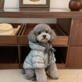 韩版 宠物棉服冬季 新品 森系碎花洋气保暖防寒狗狗猫咪两脚棉服