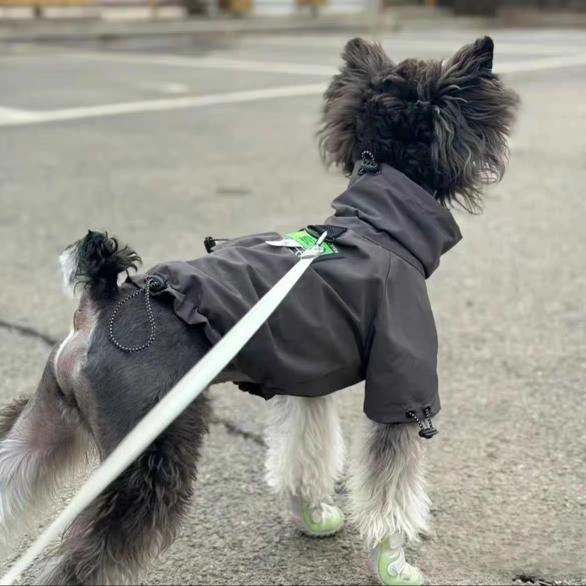 宠物潮牌冲锋衣泰迪比熊雪纳瑞法斗狗狗猫咪秋冬保暖衣服小型棉服,宠物/宠物食品及用品,狗宠物服装/雨衣,淘宝优惠券,粉丝福利购,淘宝优惠卷