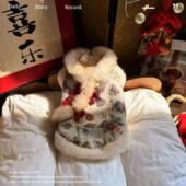 宠物猫咪狗狗新年服 中式 拜年服加绒背心保暖背心中小型犬喜庆服