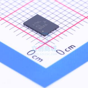 EEPROM MSH10 MICROCHIP 美国微芯 AT21CS11 XSFN