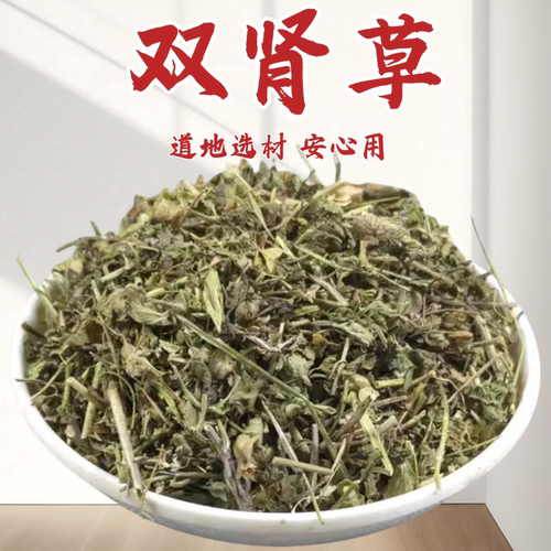 双肾草肾阳鸡肾参一根