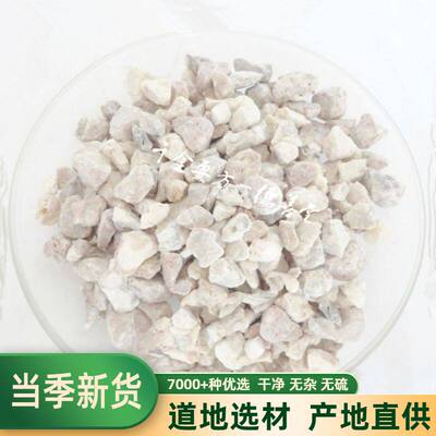 中药材钟乳滴浮石500克