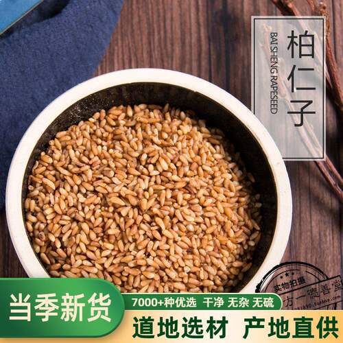 柏子仁中药材柏籽仁500g