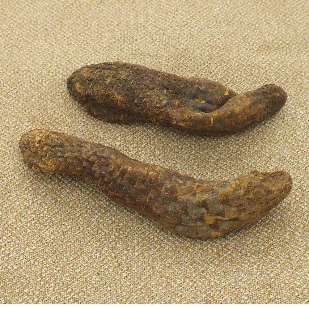 中药材 肉苁蓉  大云硬质肉苁蓉  大芸 另有锁阳包邮500克