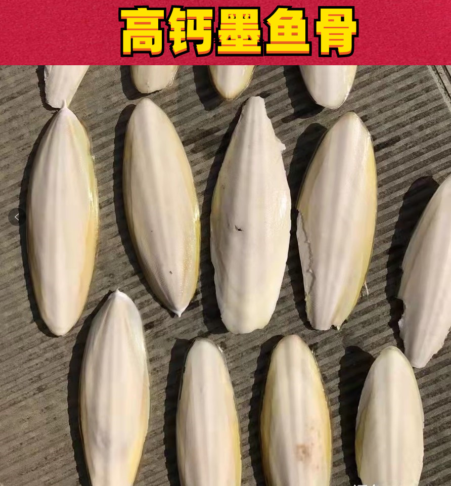 墨鱼骨鹦鹉乌龟磨牙补钙繁殖