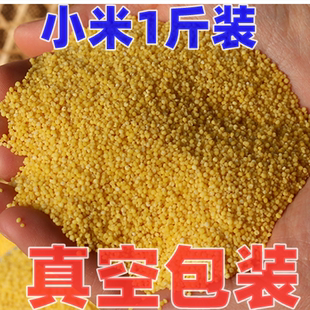 虎皮蛋小米原料1斤真空 脱壳小米 优质鹦鹉粮 黄小米鸟粮鸟食饲料