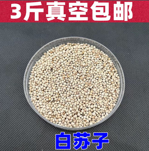 新白苏子大颗粒金丝雀3斤真空