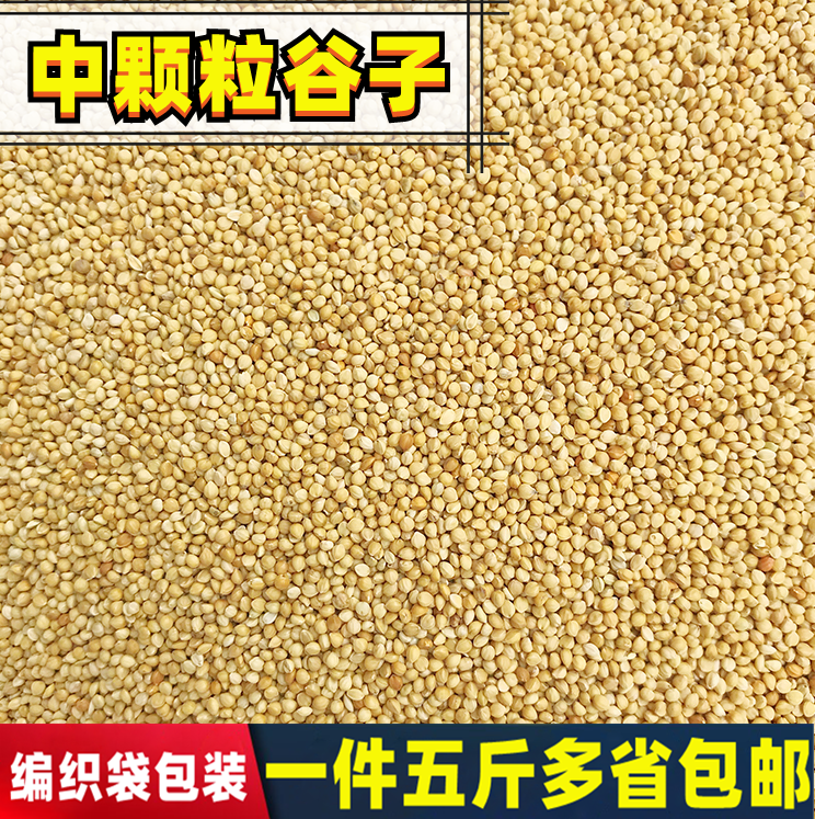 新黄谷子带壳小米虎皮牡丹玄凤中小型鹦鹉鸟粮鸟食鸟饲料5斤包邮