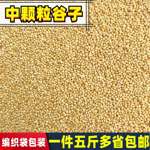 新黄谷子带壳小米虎皮中小型鹦鹉