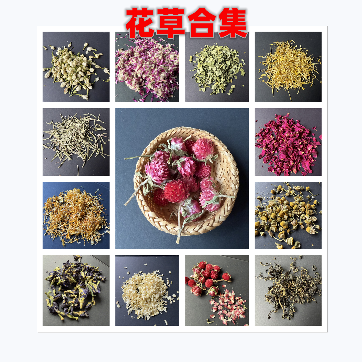 鹦鹉玄风牡丹虎皮花草