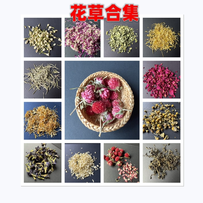 鹦鹉玄风牡丹虎皮花草