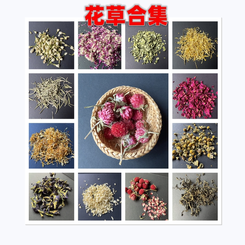 鹦鹉玄风牡丹虎皮花草