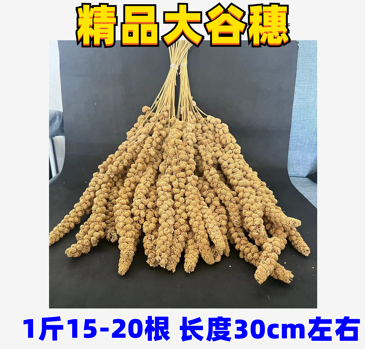 2024谷穗天然黄谷穗穗鹦鹉仓鼠