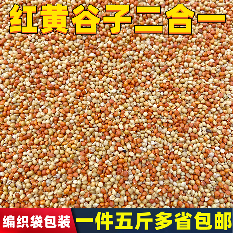 鸟食黄谷子玄凤虎皮牡丹鹦鹉