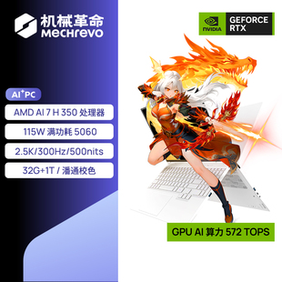 机械革命 翼龙15Pro 轻薄游戏本笔记本电脑 锐龙处理器 5060显卡