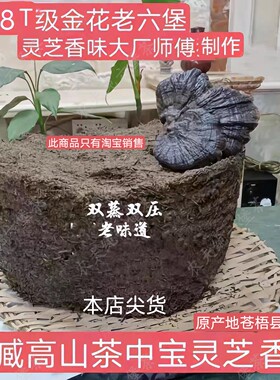 老六堡2008年灵芝香金花六堡茶特品级料三只鸟退休老师傅制作②批