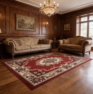 地垫门垫客厅高级感防滑耐脏玄关地毯进门口家用除尘脚垫子满铺毯