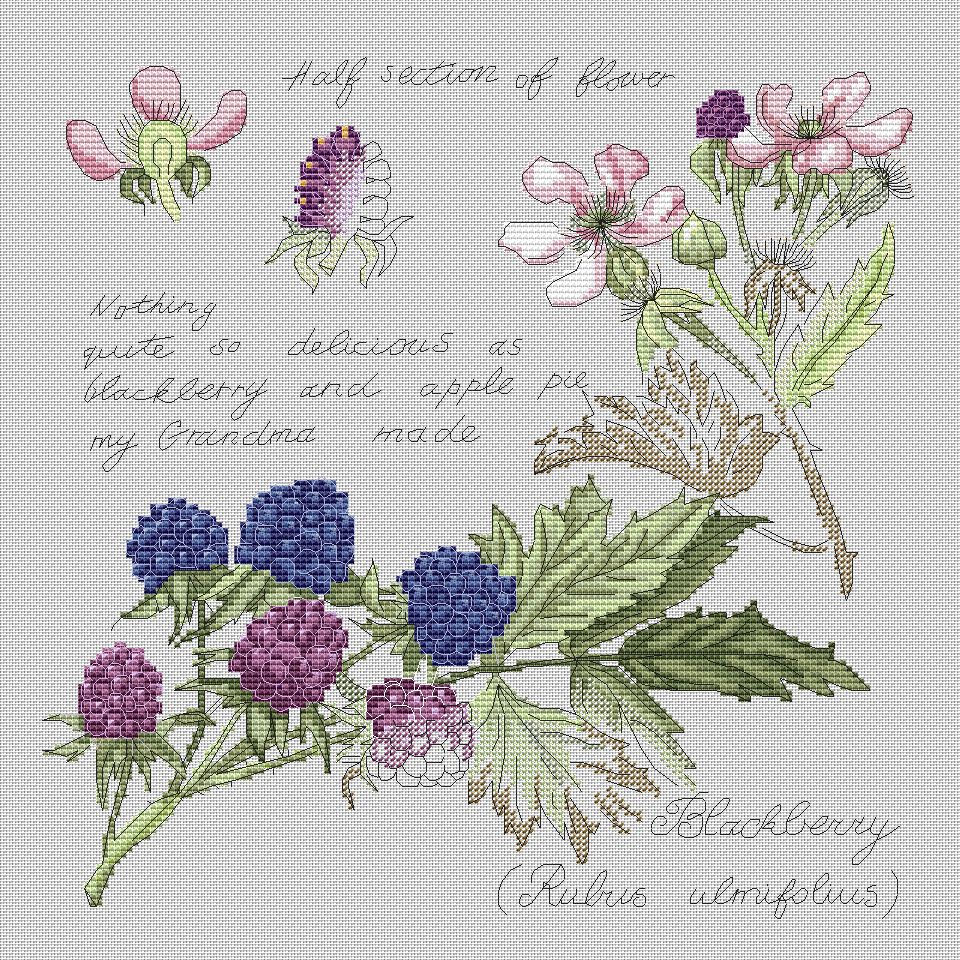 弹弹十字绣 自配DMC线/R线十字绣套件 非印花 D0394植物系-野莓