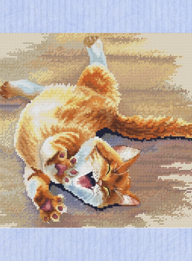 弹弹十字绣 D1450撑懒腰的猫咪 自配DMC/R线十字绣套件 非印花