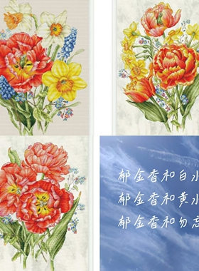 弹弹十字绣 D1041郁金香系列3图 自配DMC线/R线十字绣套件非印