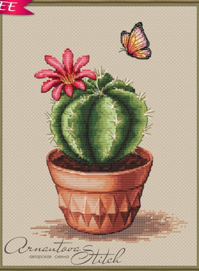 弹弹十字绣 自配DMC线/R线十字绣套件 非印花D0052仙人掌盆栽