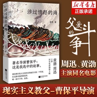涉过愤怒的海 老晃著 周迅黄渤主演 曹保平执导同名电影原著灼心系列新作 现实主义犯罪小说影视同期书 浮冰鹈鹕小姐三部小说