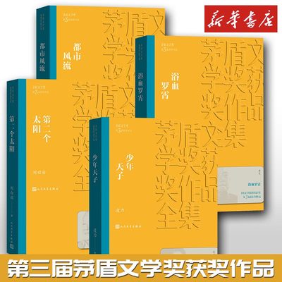 第三届茅盾文学奖少年天子全4册