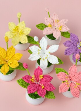 成品手工钩织火星兰仿真花盆栽精致清新女生礼物夜市摆摊摆件