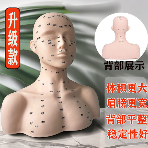 皮肤管理头模特美容院学习脸部穴位按摩练手法假人光头模型带肩膀