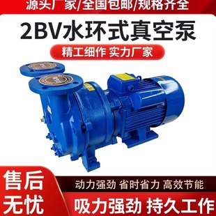博山2bv水环式真空泵工业用循环水真空泵真空泵耐腐吸附泵负压泵