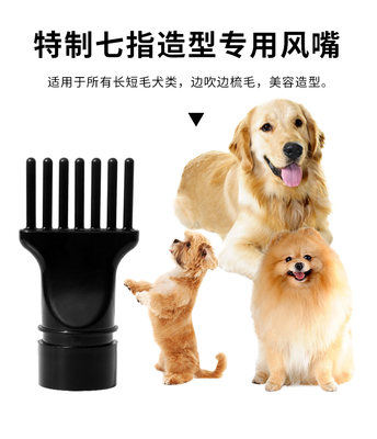 宠物吹风机中大型犬烘干大功率家用猫咪狗狗烘干箱吹毛神器吹水机