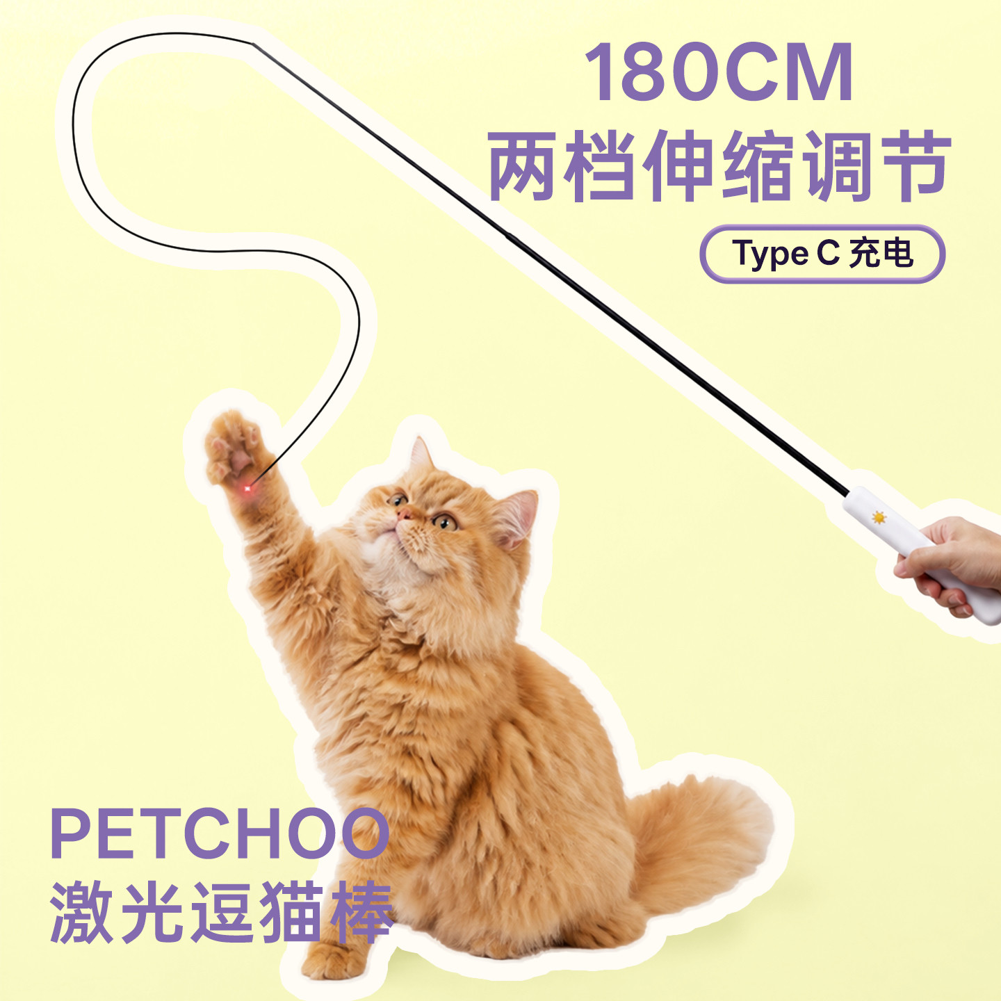 PETCHOO猫咪玩具LED光逗猫棒