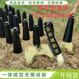 罩套筒韭菜光种植黑塑料筒盖子用罩子遮光隔农业韭黄防晒圆柱家用