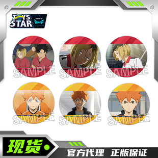 PROOF排球少年 日向翔阳影山飞雄TV截图场面写闪闪吧唧徽章周边