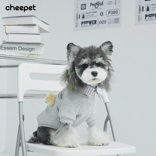 趣派新款宠物衣服秋冬保暖假两件条纹打底衫小狗狗立体小熊头衣服