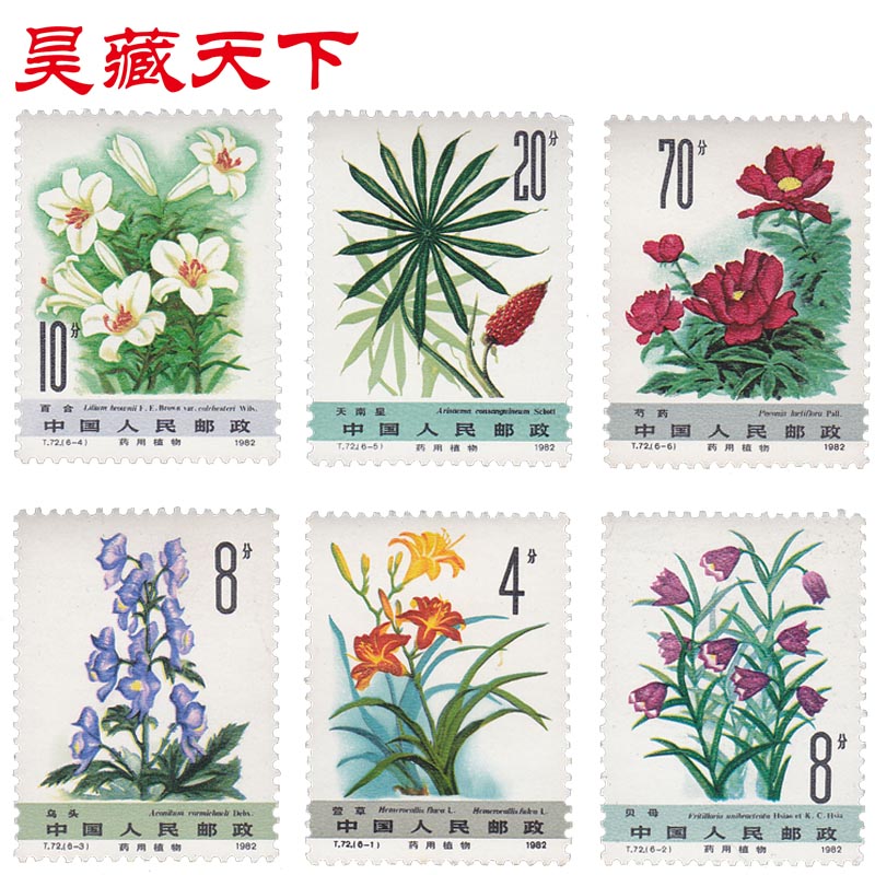 T72药用植物邮票（二组）套票