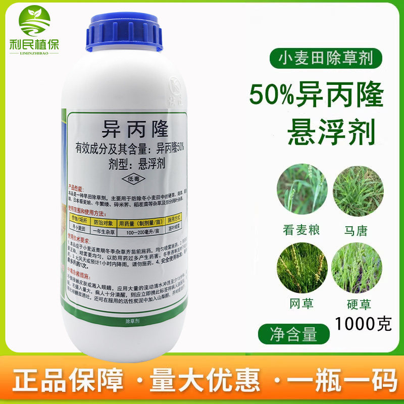 50%异丙隆悬浮剂小麦田苗后早熟禾看麦娘菵草硬草农药除草剂