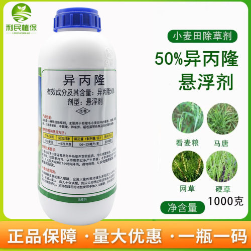 50%异丙隆悬浮剂小麦田苗后早熟禾看麦娘菵草硬草农药除草剂