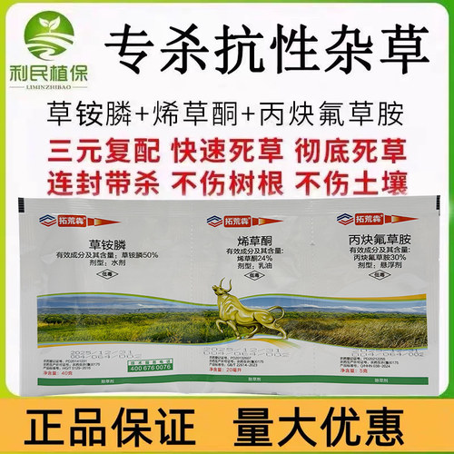 丙炔氟草胺草铵膦草胺磷烯草酮灭生性草铵磷草胺膦荒地果园除草剂 - 封面