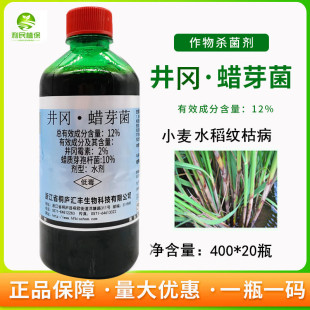 桐庐12%井冈蜡芽菌水剂杀菌剂水稻小麦纹枯稻曲病井冈岗霉素400g