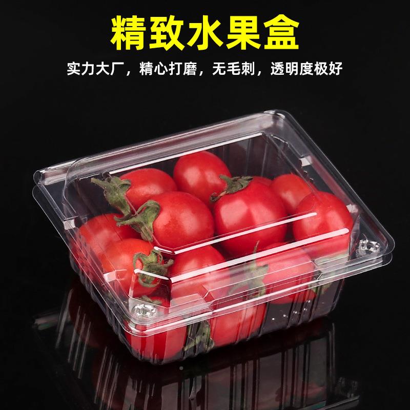 子果盒子一次性果蔬包装盒塑料果透明水有盖超市24041500用装水的
