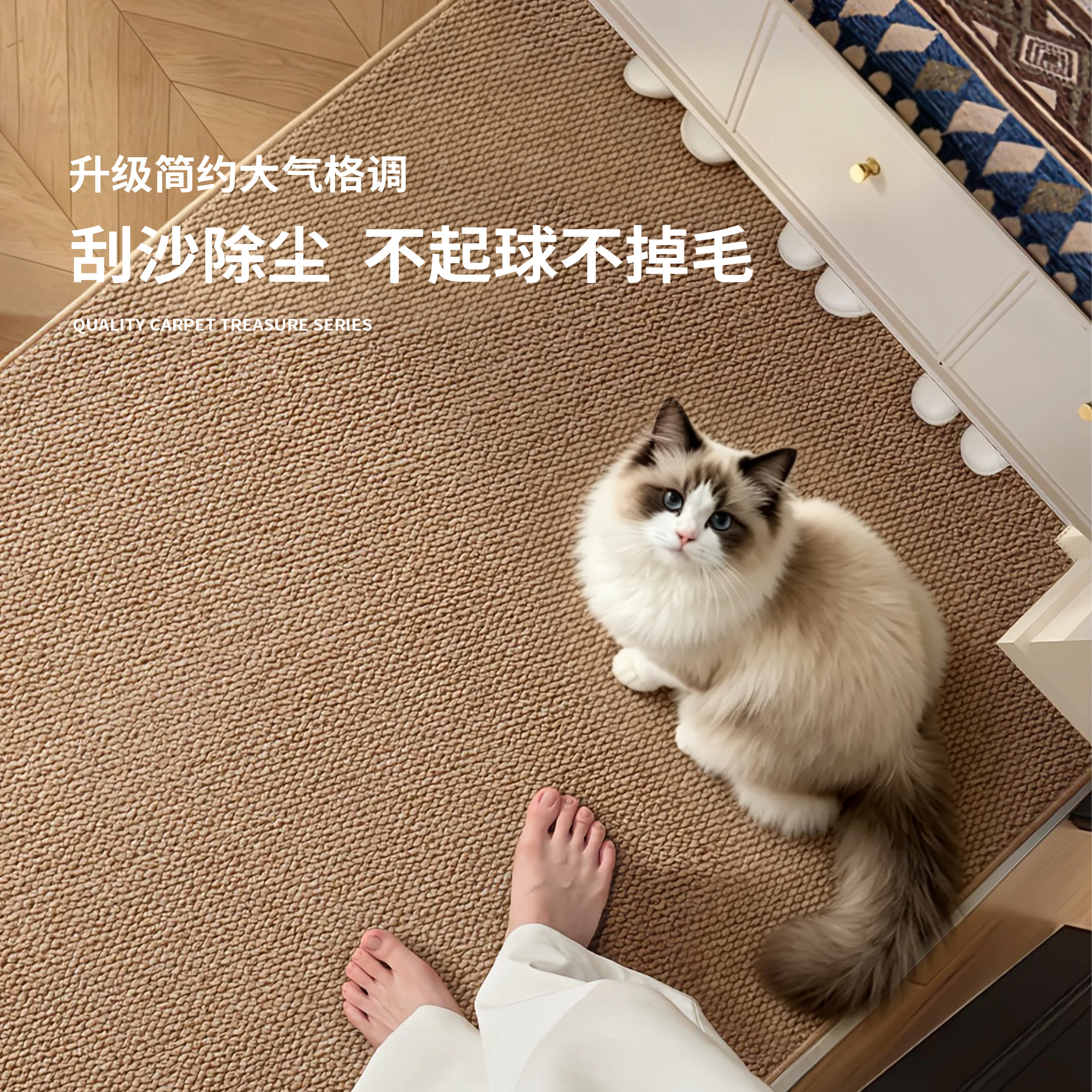 仿剑麻入户门垫耐脏可裁剪地垫图片