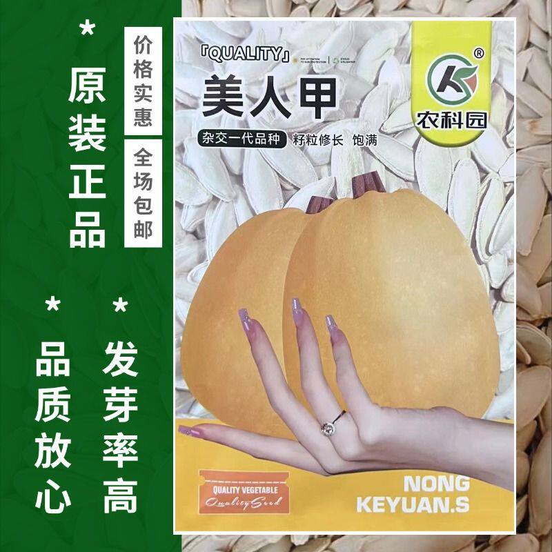 产籽南瓜籽种子正品美人甲长粒白瓜子籽种香甜干面一代杂交多用途