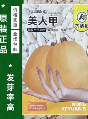 产籽南瓜籽种子正品美人甲长粒白瓜子籽种香甜干面一代杂交多用途