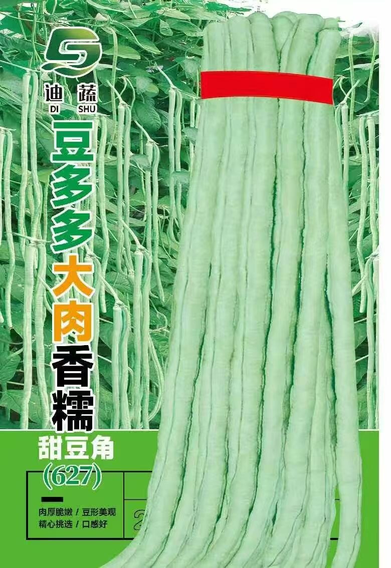 豆多多大肉香糯甜豆角种子白长豆角春夏秋播白玉长豇豆易种蔬菜孑