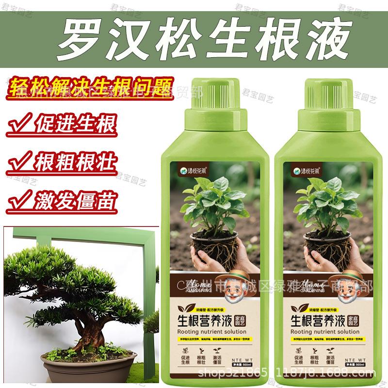 罗汉松生根液水培植物通用营养液室内园艺盆栽养花专用肥料生根液